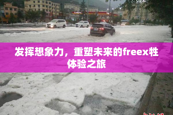 发挥想象力，重塑未来的freex牲体验之旅