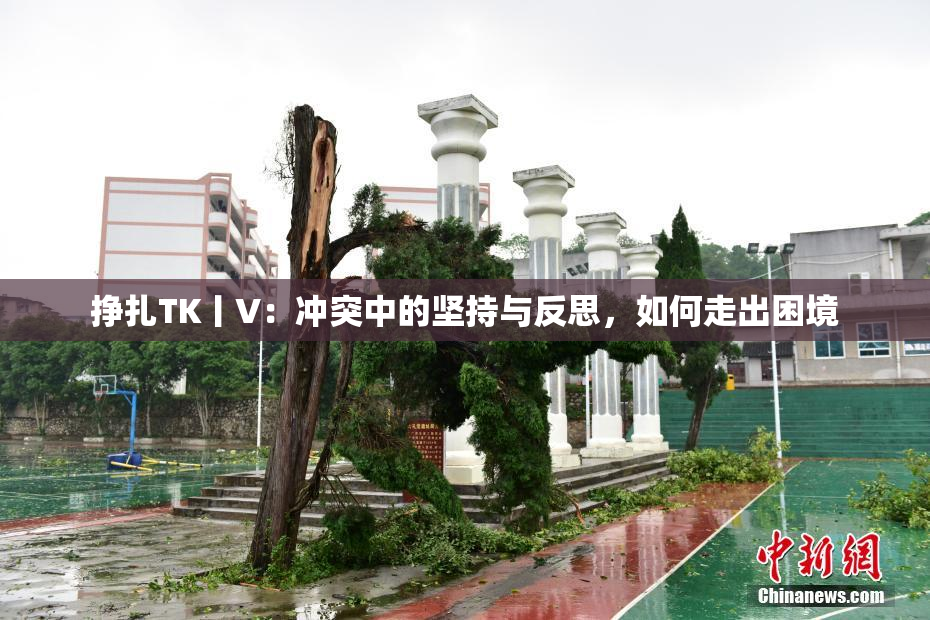 挣扎TK丨V：冲突中的坚持与反思，如何走出困境