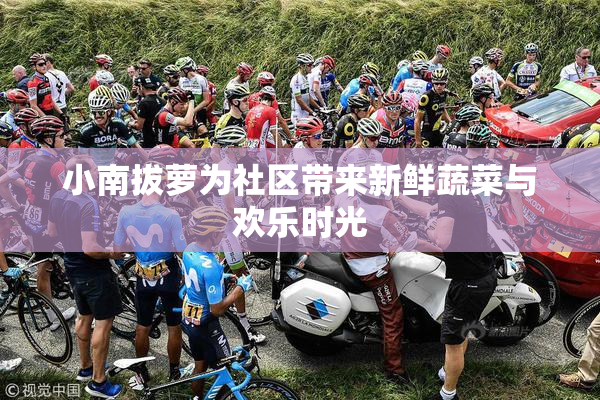 小南拔萝为社区带来新鲜蔬菜与欢乐时光