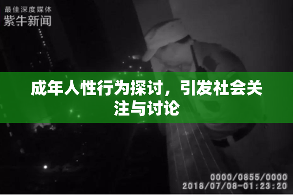 成年人性行为探讨，引发社会关注与讨论