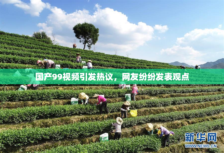 国产99视频引发热议，网友纷纷发表观点