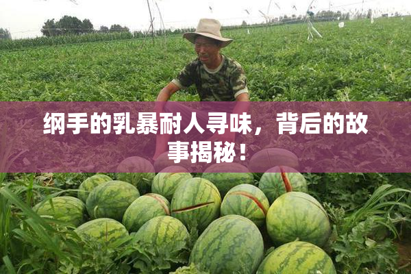 纲手的乳暴耐人寻味，背后的故事揭秘！