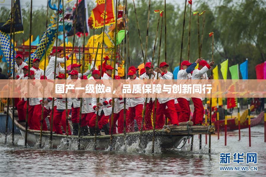 国产一级做a，品质保障与创新同行