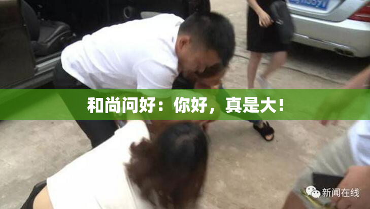 和尚问好：你好，真是大！