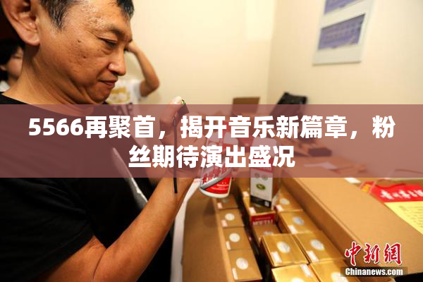 5566再聚首，揭开音乐新篇章，粉丝期待演出盛况