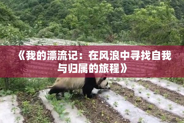 《我的漂流记：在风浪中寻找自我与归属的旅程》