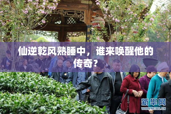 仙逆乾风熟睡中，谁来唤醒他的传奇？