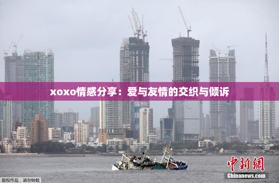 xoxo情感分享：爱与友情的交织与倾诉