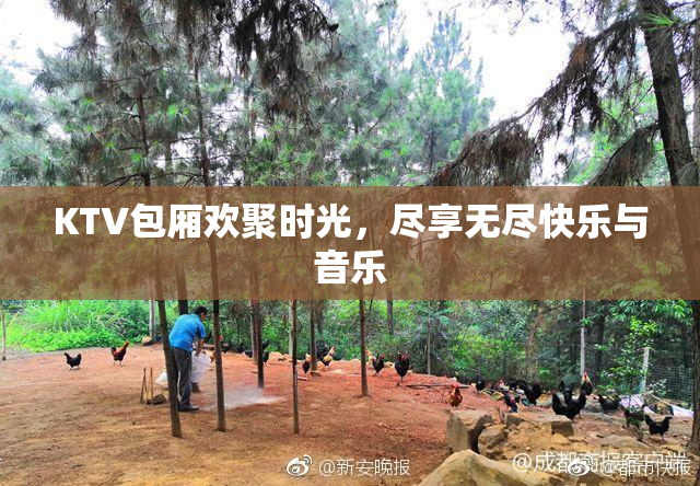 KTV包厢欢聚时光，尽享无尽快乐与音乐