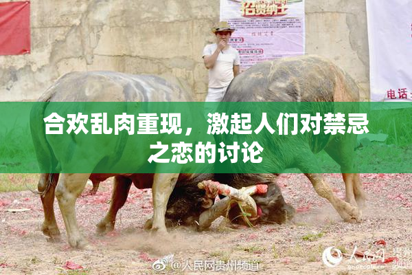 合欢乱肉重现，激起人们对禁忌之恋的讨论