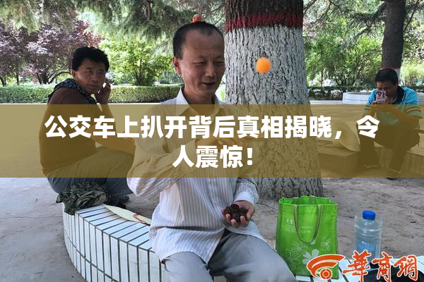 公交车上扒开背后真相揭晓，令人震惊！