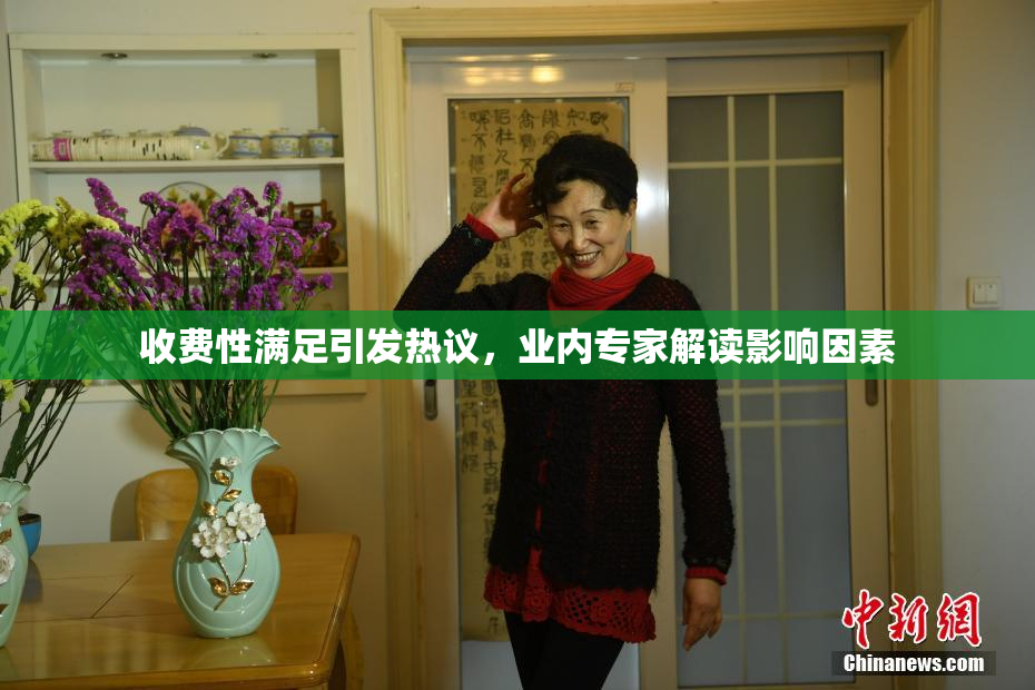 收费性满足引发热议，业内专家解读影响因素