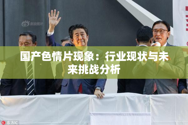 国产色情片现象：行业现状与未来挑战分析