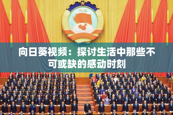 向日葵视频：探讨生活中那些不可或缺的感动时刻