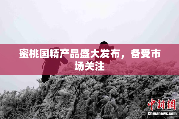 蜜桃国精产品盛大发布，备受市场关注