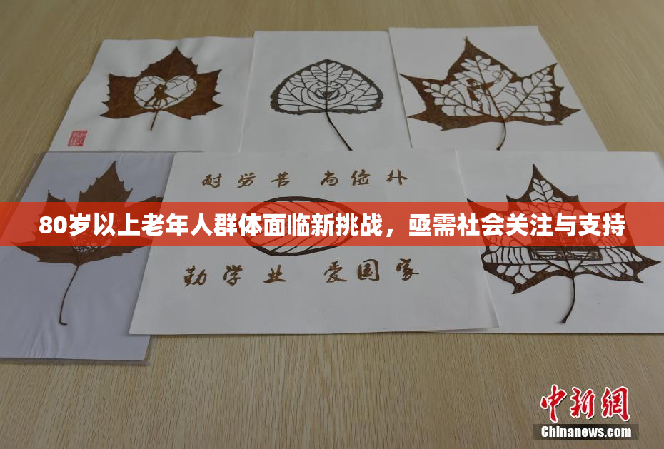 80岁以上老年人群体面临新挑战，亟需社会关注与支持