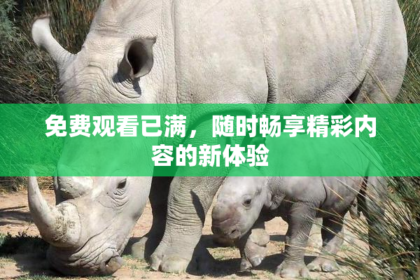 免费观看已满，随时畅享精彩内容的新体验
