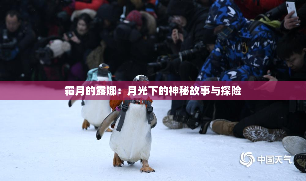 霜月的露娜：月光下的神秘故事与探险