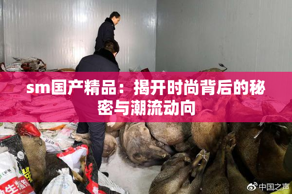 sm国产精品：揭开时尚背后的秘密与潮流动向