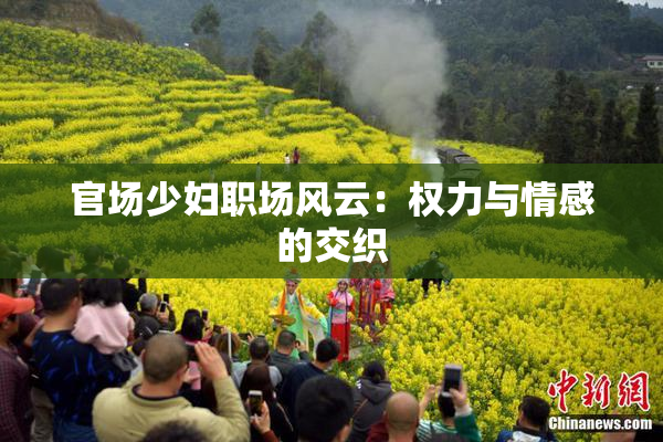 官场少妇职场风云：权力与情感的交织