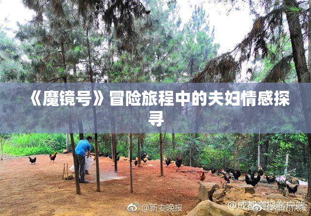 《魔镜号》冒险旅程中的夫妇情感探寻