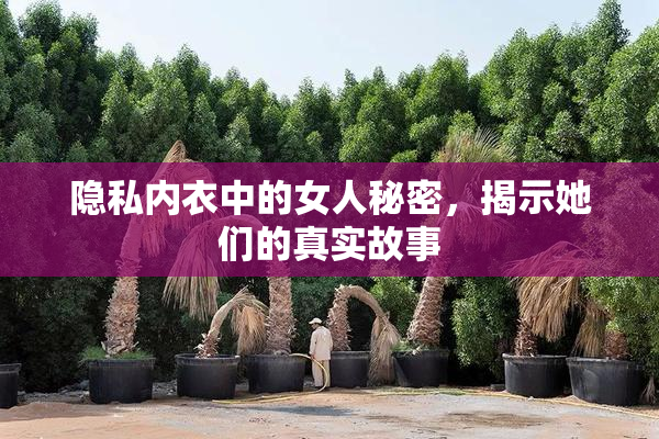 隐私内衣中的女人秘密，揭示她们的真实故事