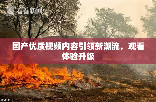 国产优质视频内容引领新潮流，观看体验升级