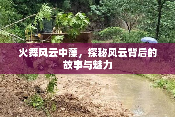 火舞风云中藻，探秘风云背后的故事与魅力