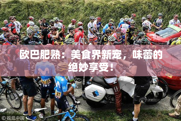 欧巴肥熟：美食界新宠，味蕾的绝妙享受！