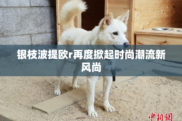 银枝波提欧r再度掀起时尚潮流新风尚