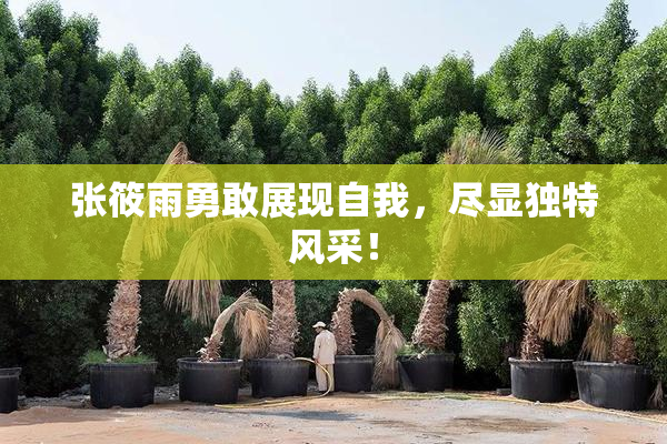 张筱雨勇敢展现自我，尽显独特风采！