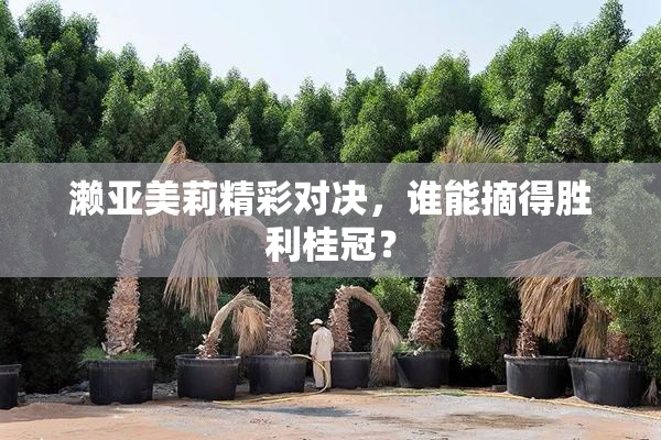 濑亚美莉精彩对决，谁能摘得胜利桂冠？