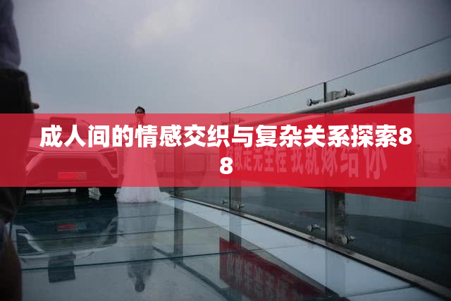 成人间的情感交织与复杂关系探索88