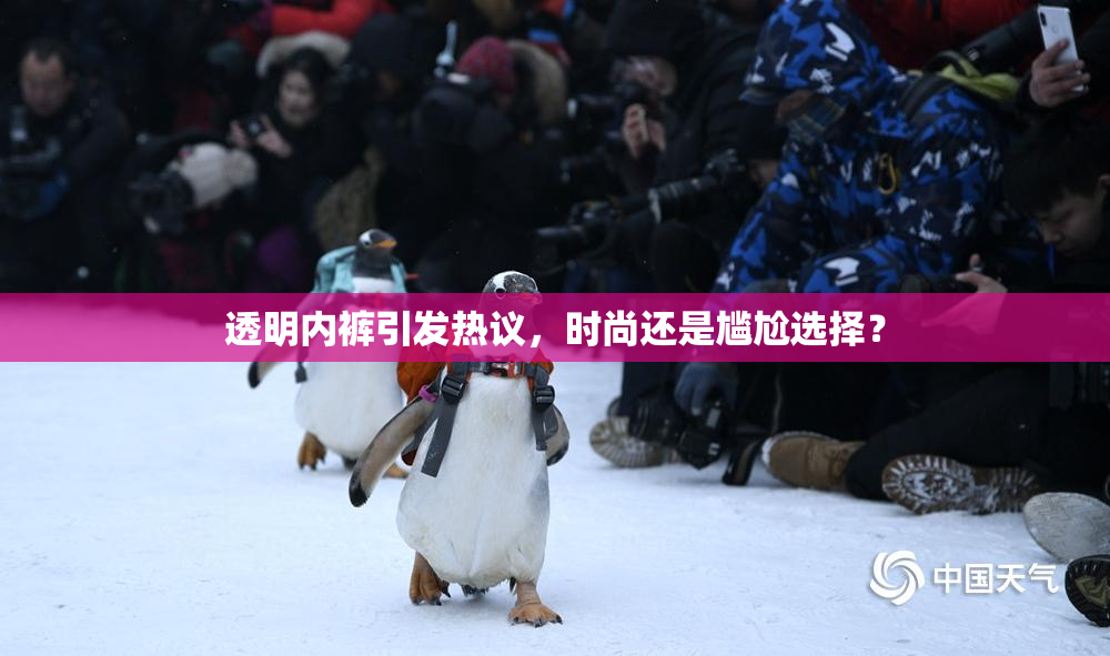 透明内裤引发热议，时尚还是尴尬选择？