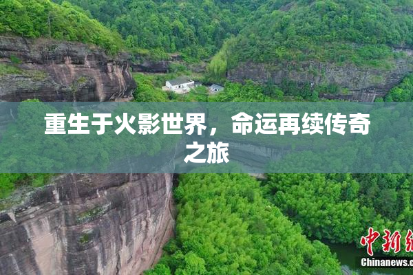 重生于火影世界，命运再续传奇之旅