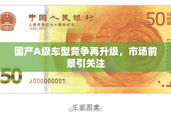 国产A级车型竞争再升级，市场前景引关注