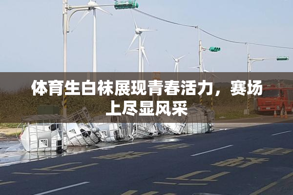 体育生白袜展现青春活力，赛场上尽显风采
