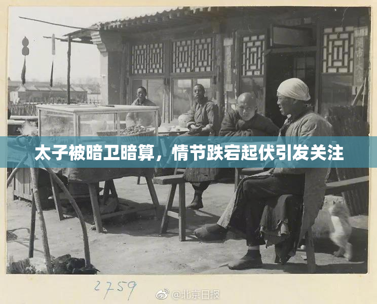 太子被暗卫暗算，情节跌宕起伏引发关注