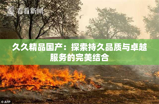 久久精品国产：探索持久品质与卓越服务的完美结合