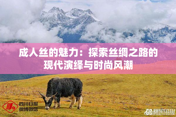 成人丝的魅力：探索丝绸之路的现代演绎与时尚风潮