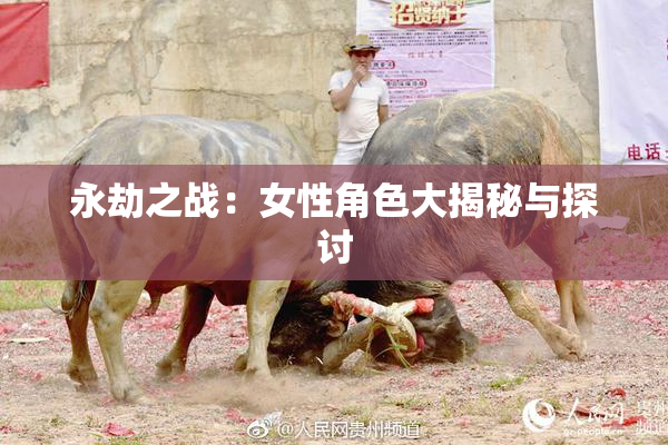 永劫之战：女性角色大揭秘与探讨