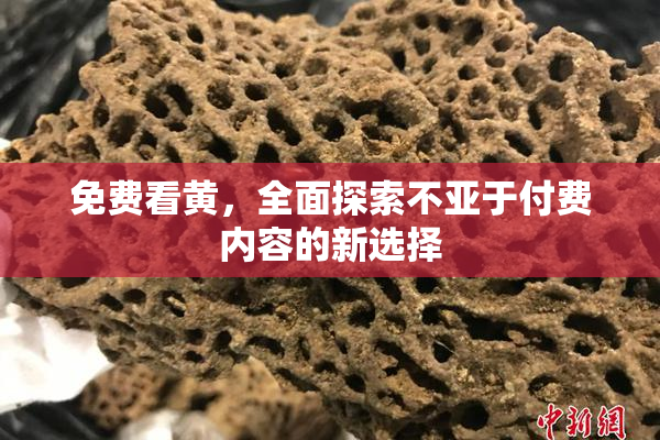 免费看黄，全面探索不亚于付费内容的新选择