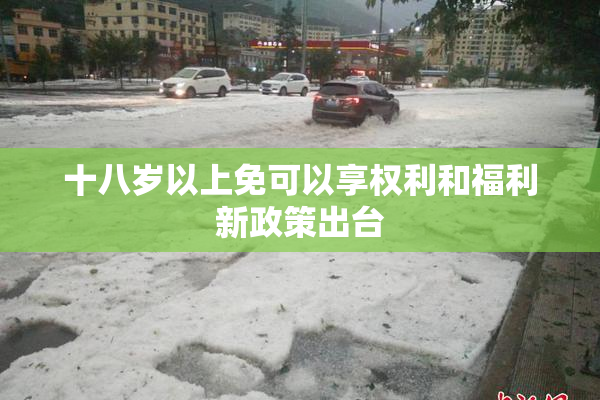 十八岁以上免可以享权利和福利新政策出台