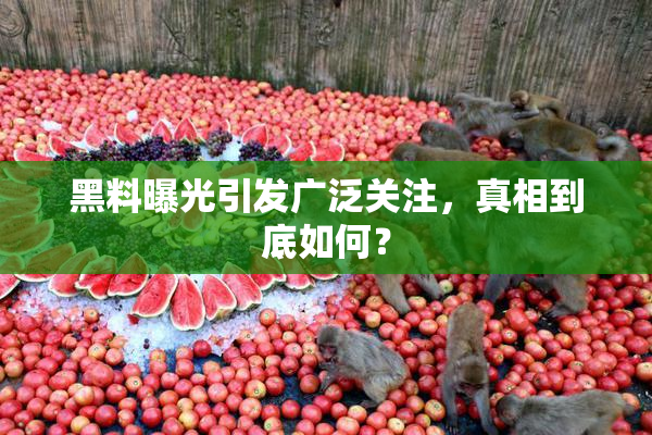 黑料曝光引发广泛关注，真相到底如何？