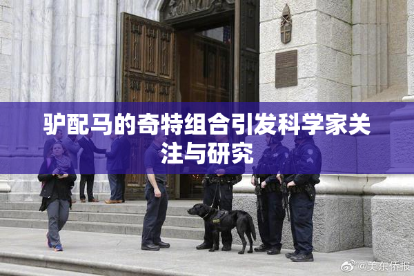 驴配马的奇特组合引发科学家关注与研究