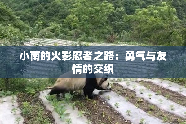 小南的火影忍者之路：勇气与友情的交织