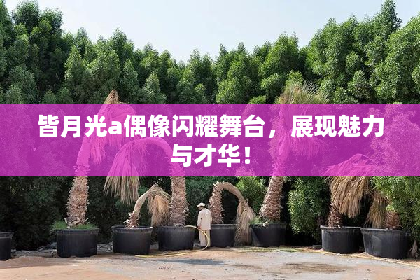 皆月光a偶像闪耀舞台，展现魅力与才华！
