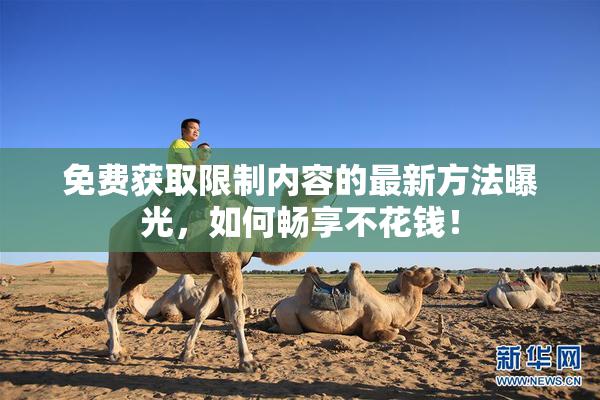 免费获取限制内容的最新方法曝光，如何畅享不花钱！