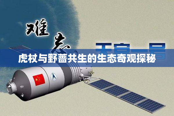 虎杖与野蔷共生的生态奇观探秘