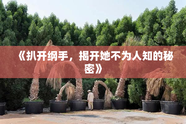 《扒开纲手，揭开她不为人知的秘密》